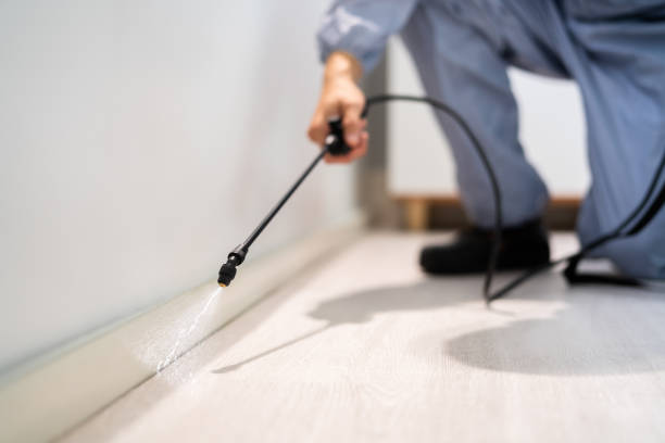 Licensed Mosquito Control service in Follansbee, WV - Show Me Pest Control