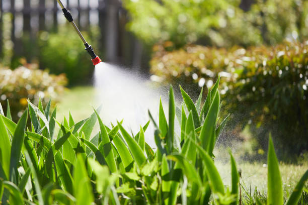 24/7 Emergency Mosquito Control experts in Follansbee, WV
