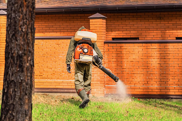 Top rated local Mosquito Control specialists in Follansbee, WV